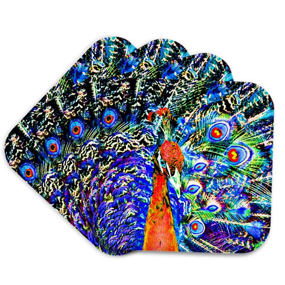 3dRose, peacock and feathers orange artistic graphic c, Set of 4 Coasters - Soft