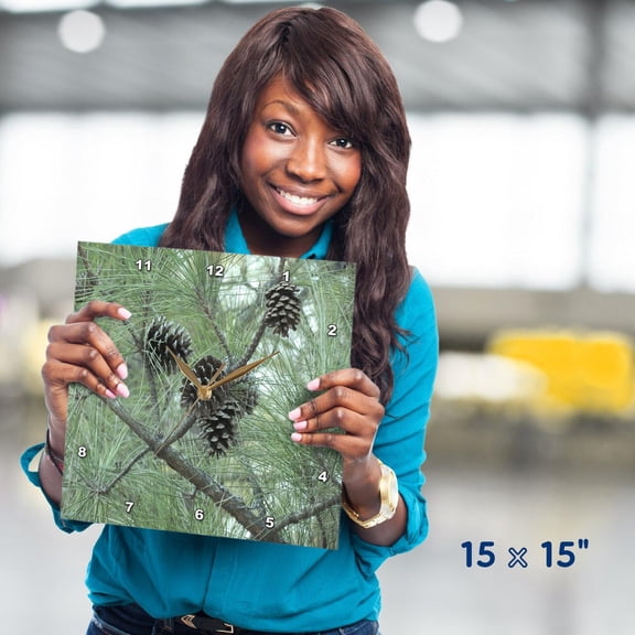 3dRose, pine cones, 15x15 Wall Clock