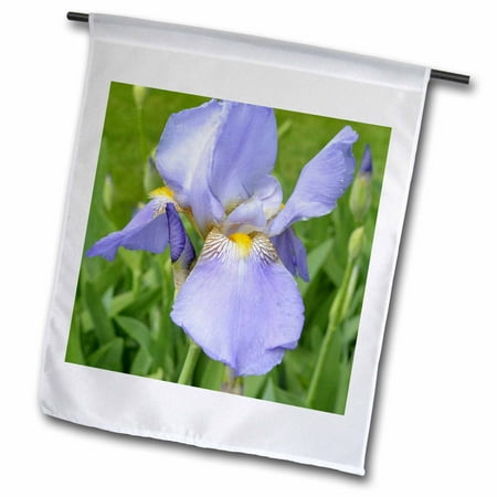 3dRose, purple iris, 12 x 18 inch Garden Flag