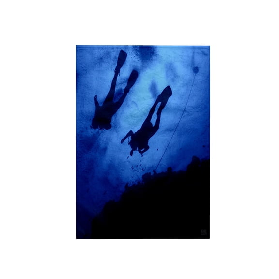 3dRose, scuba diving in the great reef barrier in Queensland, Australia, 15x22 Hand Towel