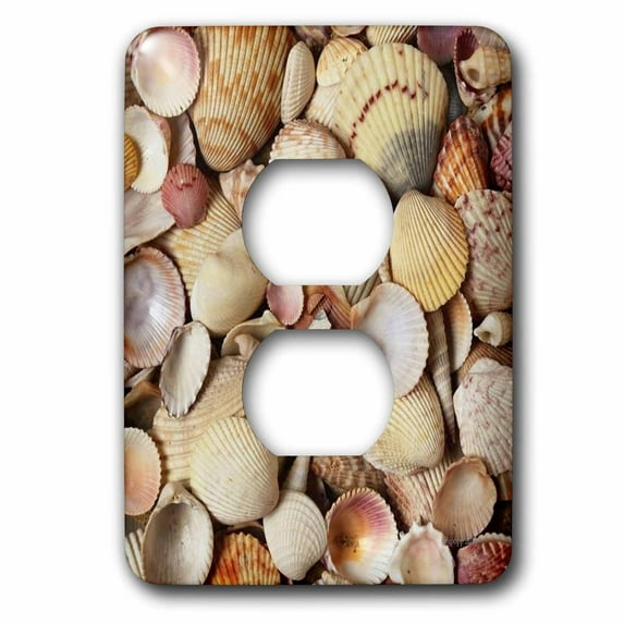 3dRose, sea shells, 2 plug outlet cover