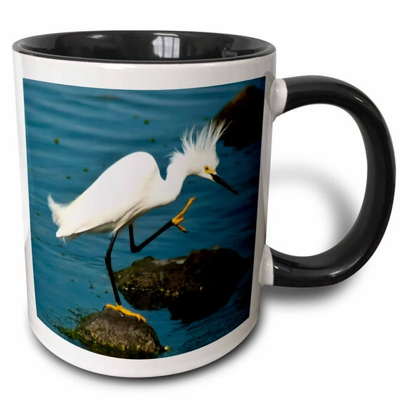 3drose, Snowy Egret, 11oz Two-tone Black Mug
