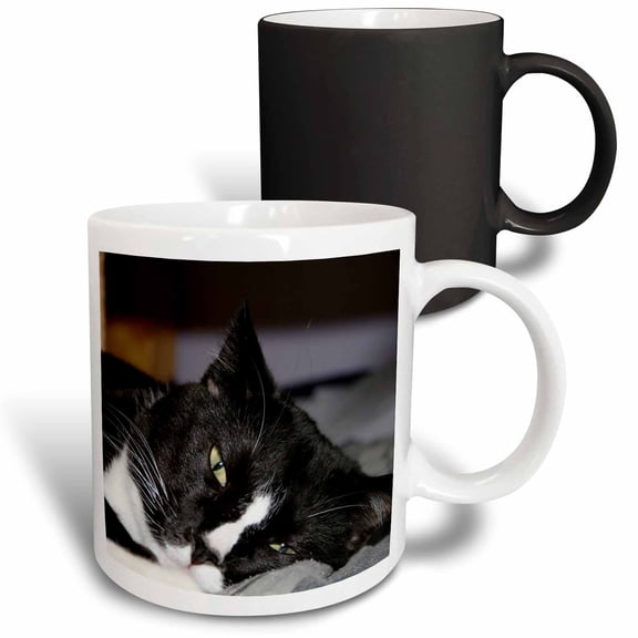 3drose, Tuxedo Cat Black and White Lying Down One Eye Open, 11oz Magic Transforming Mug