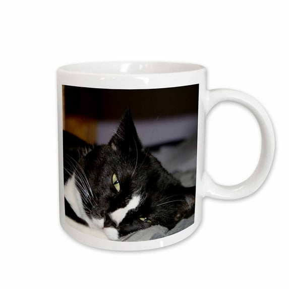 3drose, Tuxedo Cat Black and White Lying Down One Eye Open, 15oz Mug