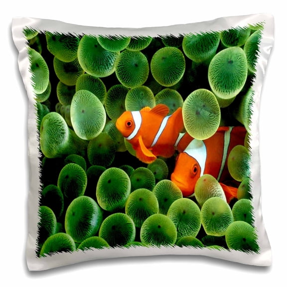 3drose, 2 Clown Fish Among Green Sponge, 16x16 inch Pillow Case