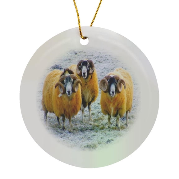 3drose, 3 Curious Rams, Circle Porcelain Ornament