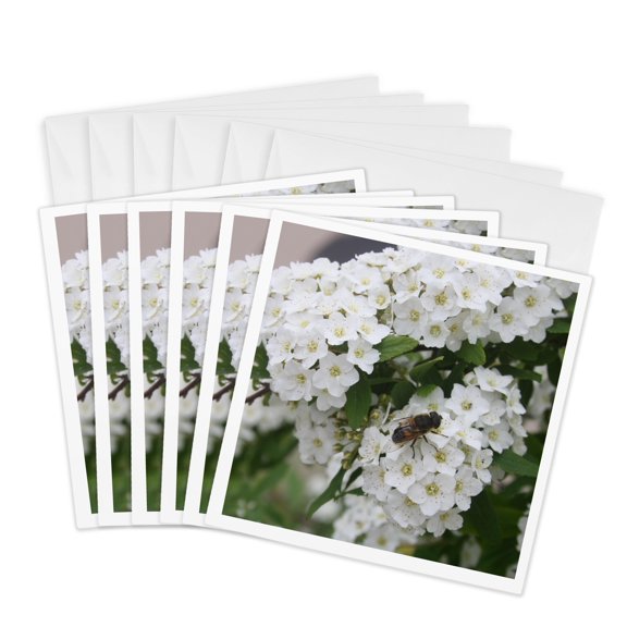 3drose, Abstract Circle Pattern with Floral Elements, 6 Greeting Cards with Envelopes