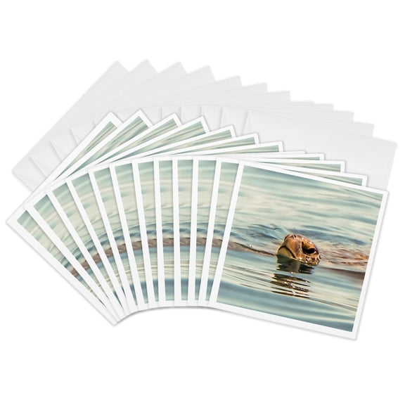 3drose, Acrylic Painting of a Caretta Caretta Sea Turtle Surface Swimming, 12 Greeting Cards with Envelopes