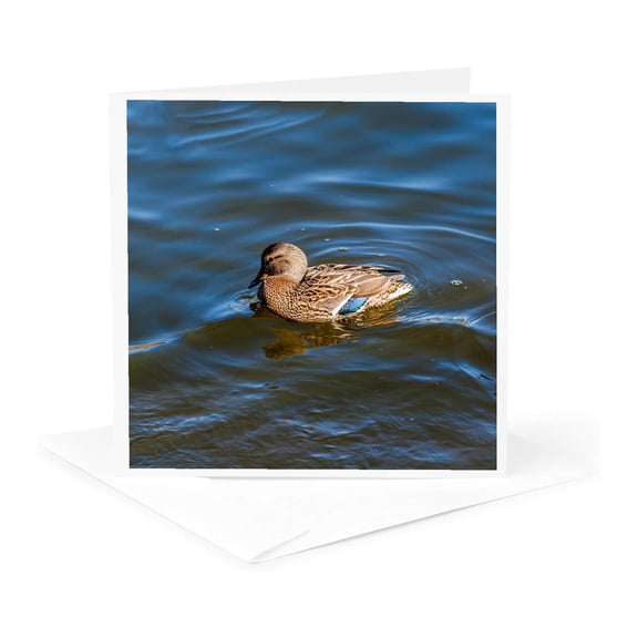 3drose, Adorable Mallard Duck in a Cold Water on a Sunny Spring Day, 1 Greeting Card with Envelope