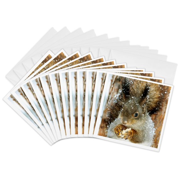 3drose, Adorable Squirrel in Winter, 12 Greeting Cards with Envelopes