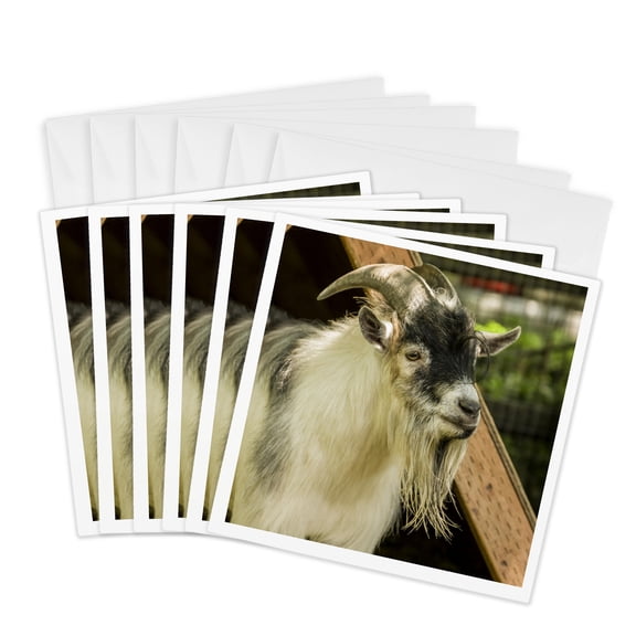 3drose, Adult African Pygmy Goat., 6 Greeting Cards with Envelopes
