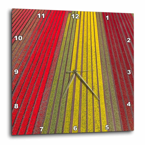 3drose, Aerial View of the Tulip Fields in North Holland, Netherlands., 15x15 Wall Clock