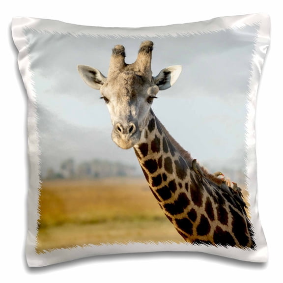 3drose, Africa, Botswana, Chobe Np. Oxpecker Bird, 16x16 inch Pillow Case