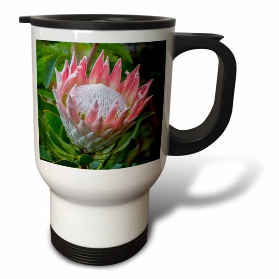 3drose, Africa, South Africa, Cape Town. King Protea Flower Close-up., 14oz Stainless Steel Travel Mug