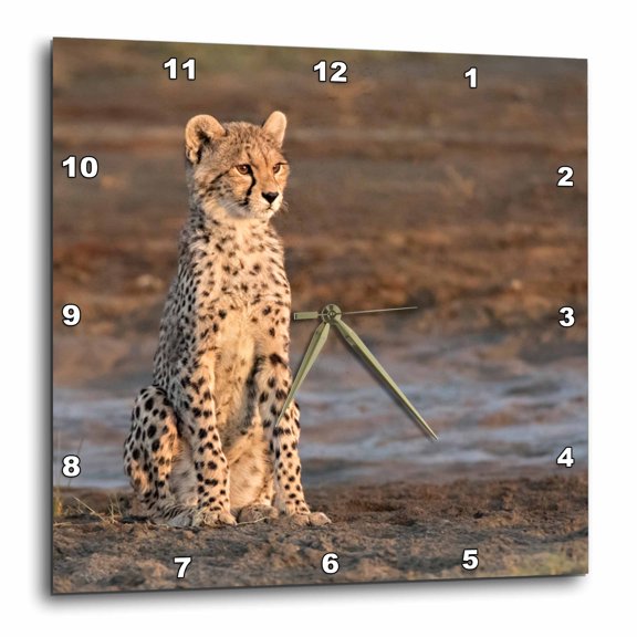 3drose, Africa, Tanzania, Serengeti. Cheetah Cub., 15x15 Wall Clock