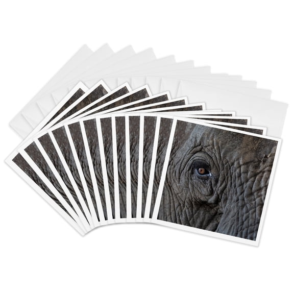 3drose, Africa, Zambia. Close-up of Elephants Eye., 12 Greeting Cards with Envelopes