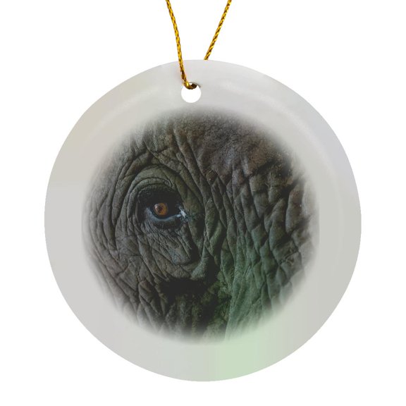 3drose, Africa, Zambia. Close-up of Elephants Eye., Circle Porcelain Ornament