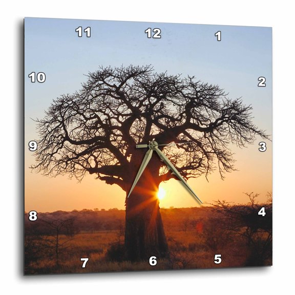 3drose, African Baobab Tree, Tarangire National Park, Tanzania-af45 Aje0263 - Adam Jones, 15x15 Wall Clock