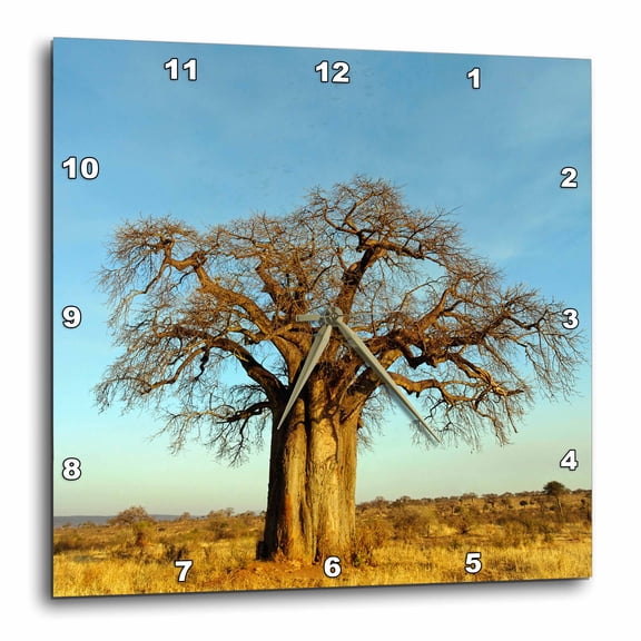 3drose, African Baobab Tree, Tarangire National Park, Tanzania-af45 Aje0268 - Adam Jones, 15x15 Wall Clock