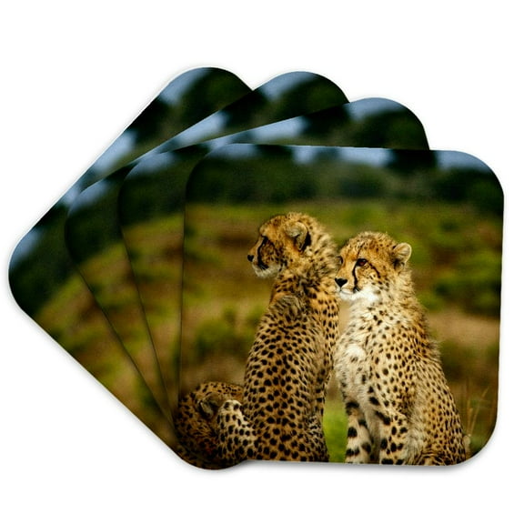 3drose, African Cheetah Gepard in the Free Nature Wildlife, Set of 4 Coasters - Soft