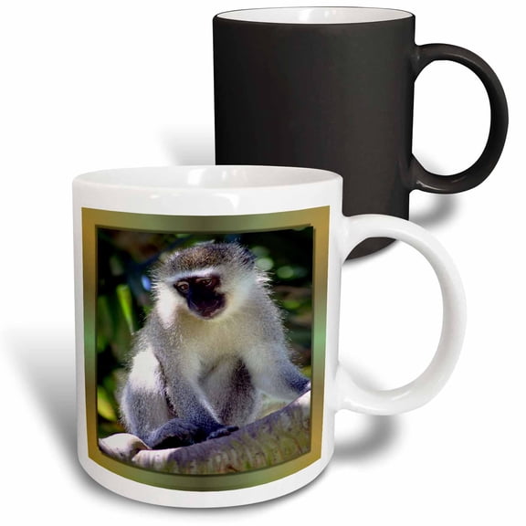 3drose, African Monkey, 11oz Magic Transforming Mug