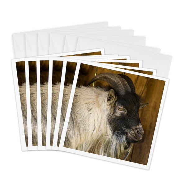 3drose, African Pygmy Goat Portrait., 6 Greeting Cards with Envelopes