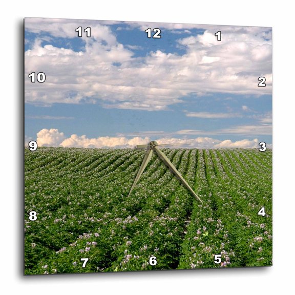 3drose, Agriculture, Potato Crop, Idaho - Us13 Dfr0281 - David R. Frazier, 10x10 Wall Clock