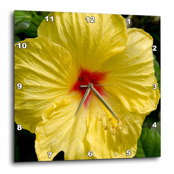 3drose, Alabama, Mobile.bellingrath Gardens and Home. Yellow Hibiscus., 15x15 Wall Clock