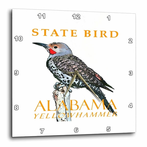3drose, Alabama Territory Bird the Common Flicker, 10x10 Wall Clock