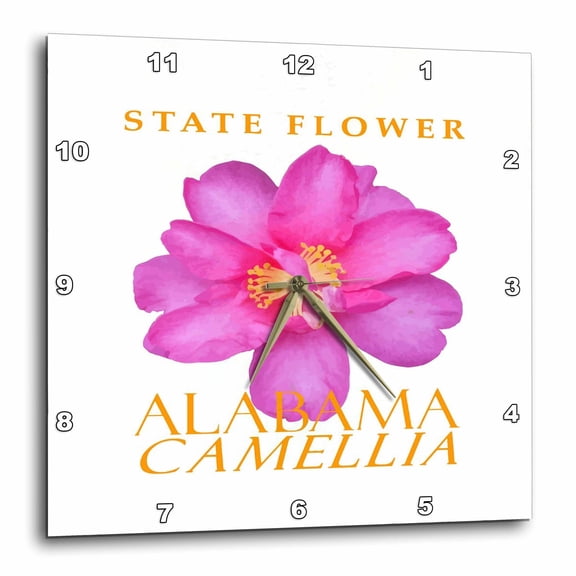 3drose, Alabama Territory Flower Camellia Sasanqua, 13x13 Wall Clock