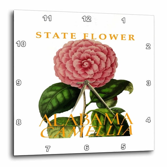3drose, Alabama Territory Flower the Camellia, 10x10 Wall Clock