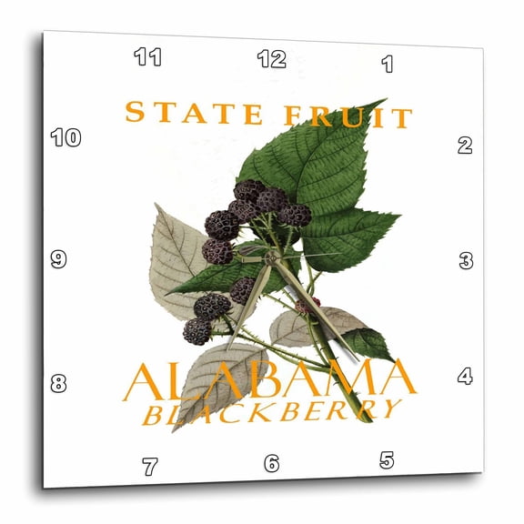 3drose, Alabama Territory Fruit the Blackberry, 13x13 Wall Clock