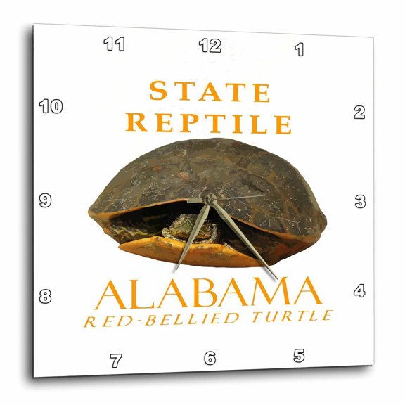 3drose, Alabama Territory Reptile the Red-bellied Turtle, 13x13 Wall Clock