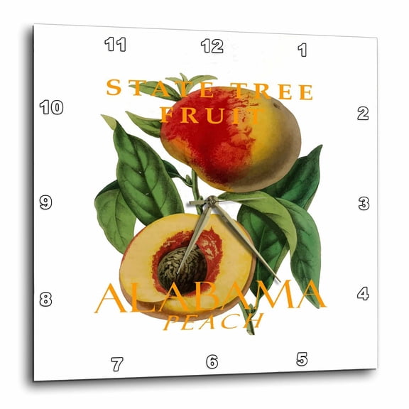3drose, Alabama Territory Tree Fruit the Peach, 13x13 Wall Clock