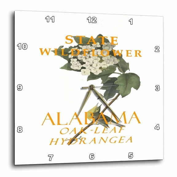 3drose, Alabama Territory Wildflower the Oak-leaf Hydrangea, 13x13 Wall Clock