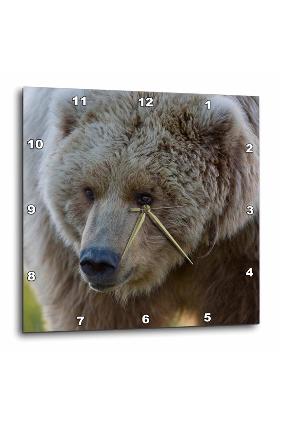 , Alaska, Katmai Np, Brown Bear, Hallo Bay - Us02 Pso0809 - Paul Souders, 15x15 Wall Clock