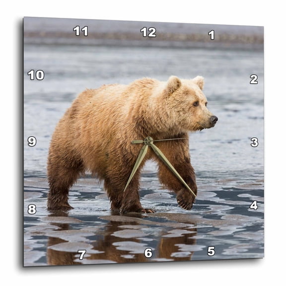 3drose, Alaska. a Grizzly Bear Walks Along the Tidal Flats, Lake Clark Np., 10x10 Wall Clock