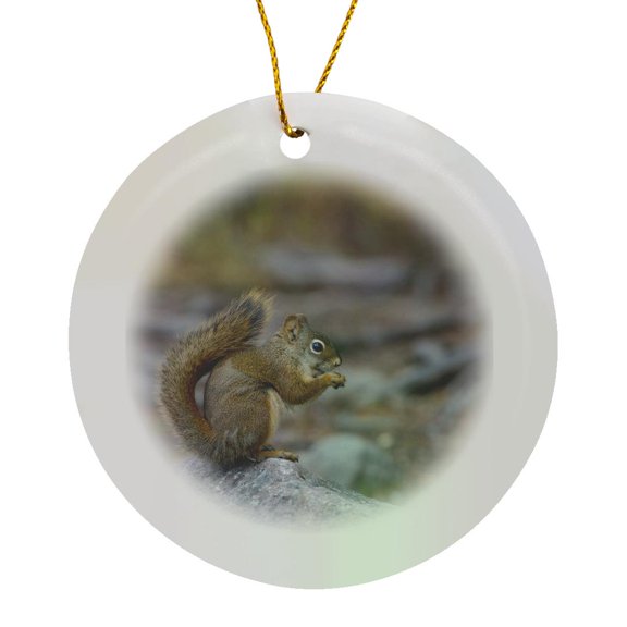 3drose, Alberta, Douglas Squirrel Wildlife on a Rock Eating - Na02 Glu0000 - Gary Luhm, Circle Porcelain Ornament