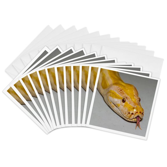 3drose, Albino Boa Constrictor, 12 Greeting Cards with Envelopes