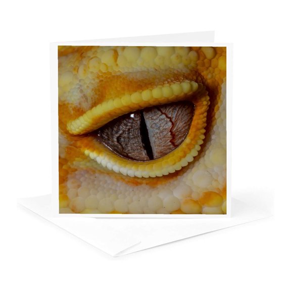 3drose, Albino Leopard Gecko., 1 Greeting Card with Envelope
