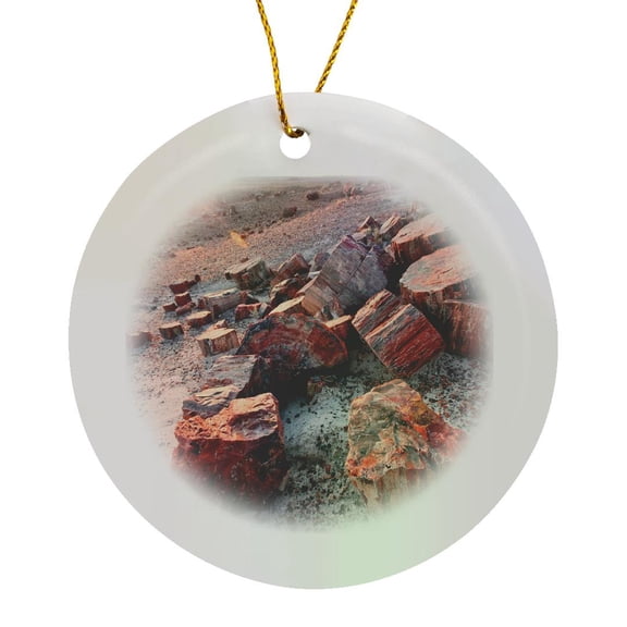 3drose, Alien Landscape, Petrified Logs, Petrified Forest Np, Arizona, Circle Porcelain Ornament