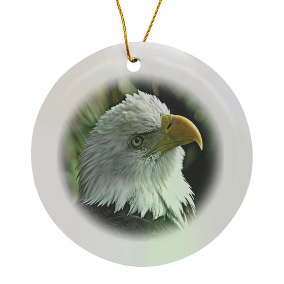 3drose, American Bald Eagle Right Profile View Photo, Circle Porcelain Ornament