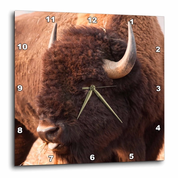 3drose, American Bison Herd in Teton Np, Wyoming, Usa, 10x10 Wall Clock