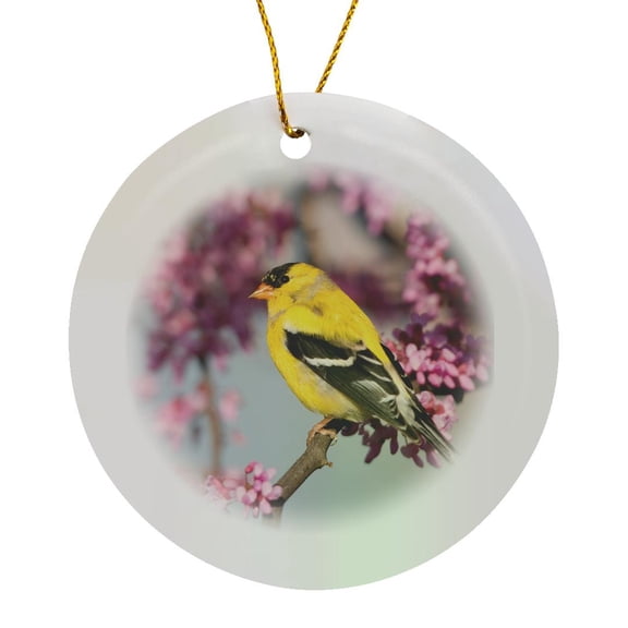 3drose, American Goldfinch in Eastern Redbud Tree, Circle Porcelain Ornament