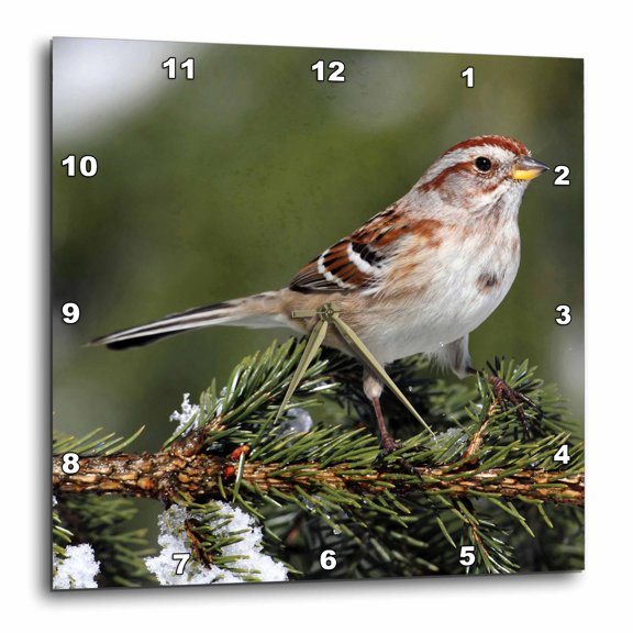 3drose, American Tree Sparrow Spizella Arborea Bird Photo Animal Photography, 13x13 Wall Clock
