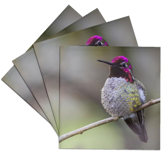 3drose, Annas Hummingbird, Set of 4 Ceramic Tile Coasters
