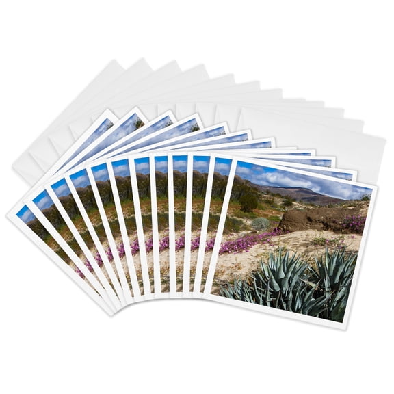 3drose, Anza Borrego Desert Spring Blooms, California, 12 Greeting Cards with Envelopes