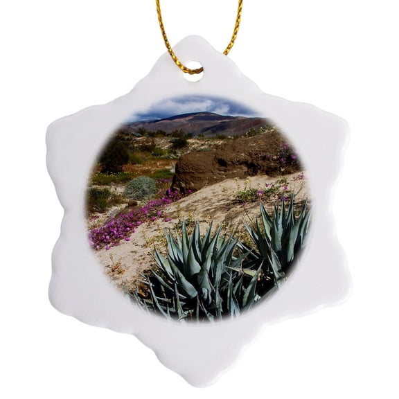 3drose, Anza Borrego Desert Spring Blooms, California, 3 inch Snowflake Porcelain Ornament