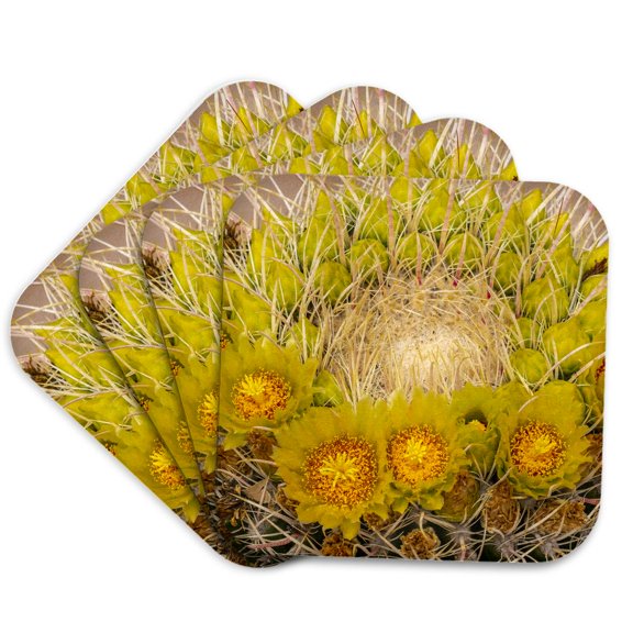 3drose, Anza Borrego Desert State Park, Ca. Beavertail Cactus Blossom., Set of 4 Coasters - Soft