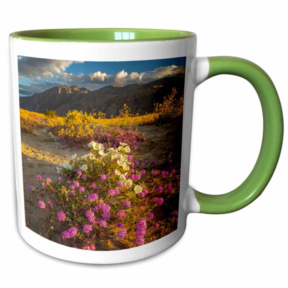 3drose, Anza Borrego Desert State Park, Ca. Verbena and Goldfields Blooming, 11oz Two-tone Green Mug